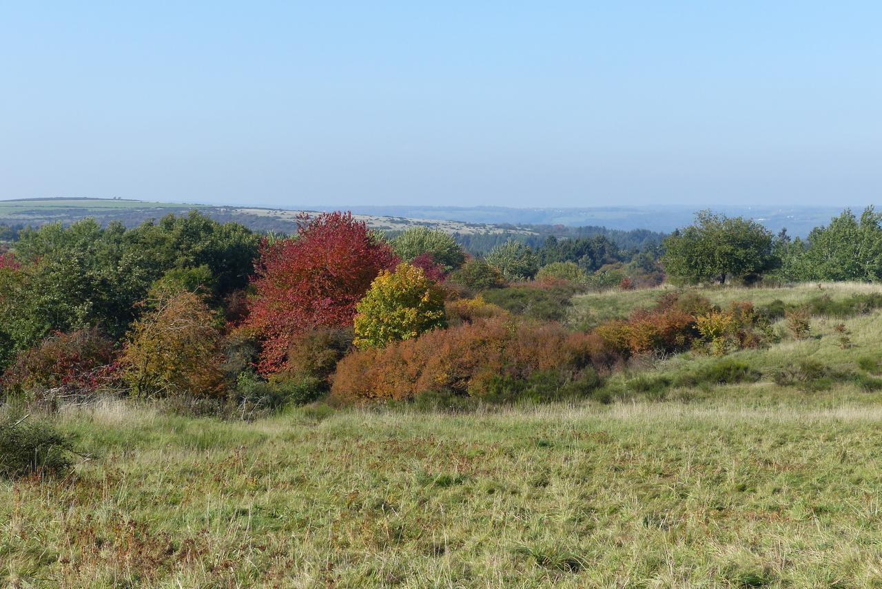 فيلا شليدنفي Chalets Am National Park Eifel المظهر الخارجي الصورة