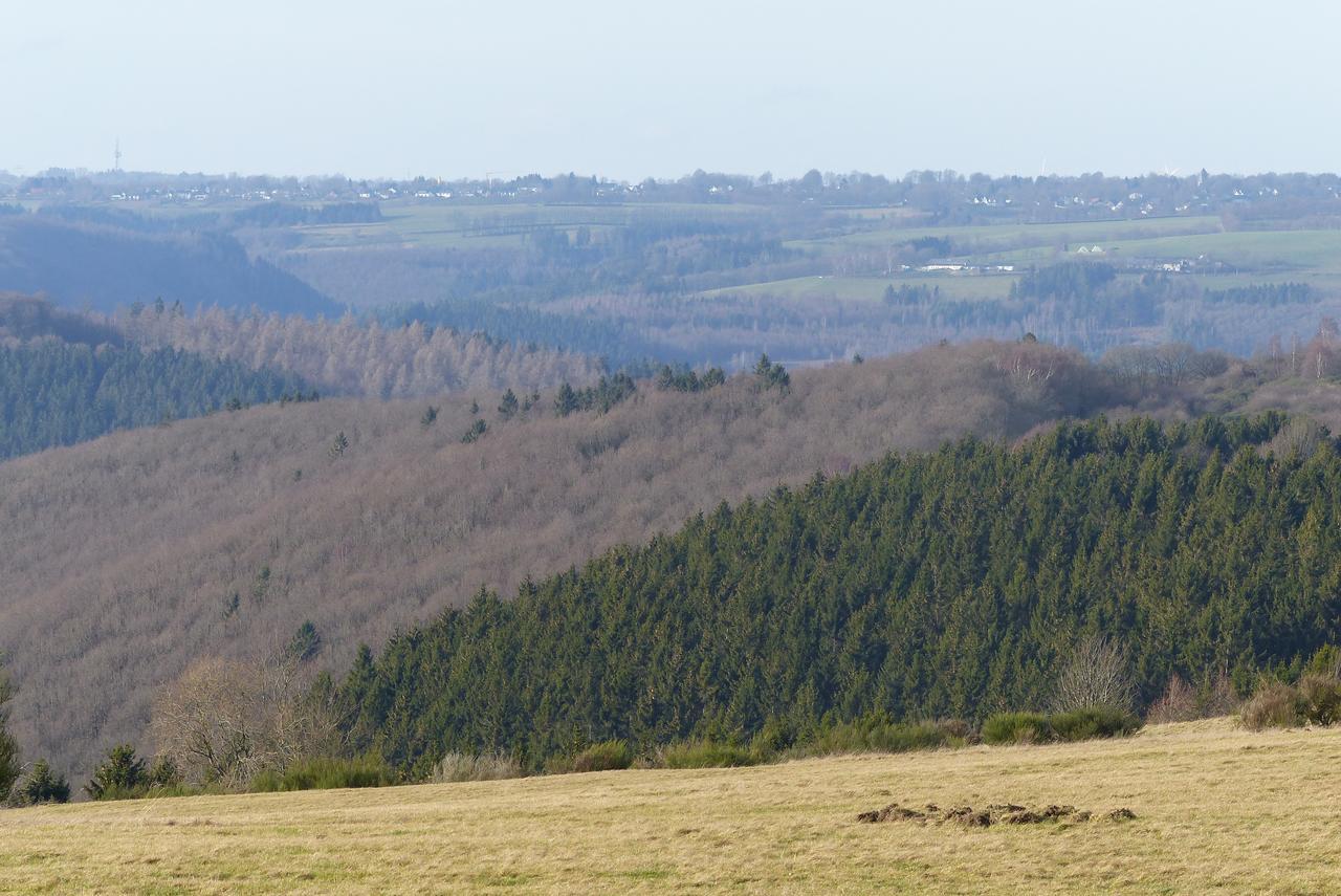 فيلا شليدنفي Chalets Am National Park Eifel المظهر الخارجي الصورة