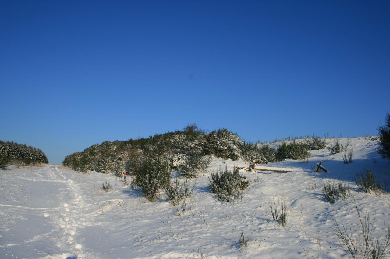 فيلا شليدنفي Chalets Am National Park Eifel المظهر الخارجي الصورة