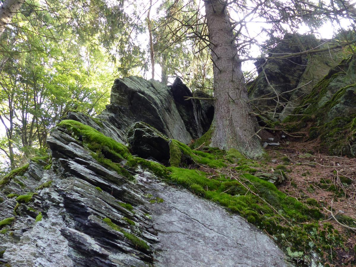 Chalets Am National Park Eifel شليدن المظهر الخارجي الصورة
